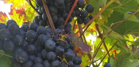 Herbst 2021