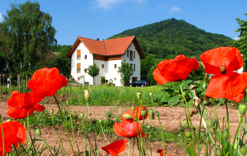 Ferienwohnung Haus Julia