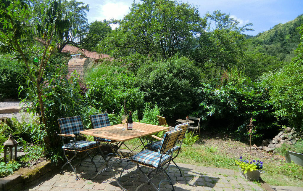 Ferienwohnung “Mühlwiesen”