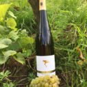 Riesling GG Sonnenberg 2017