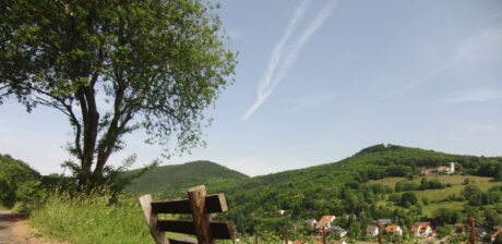 Blick über Leinsweiler