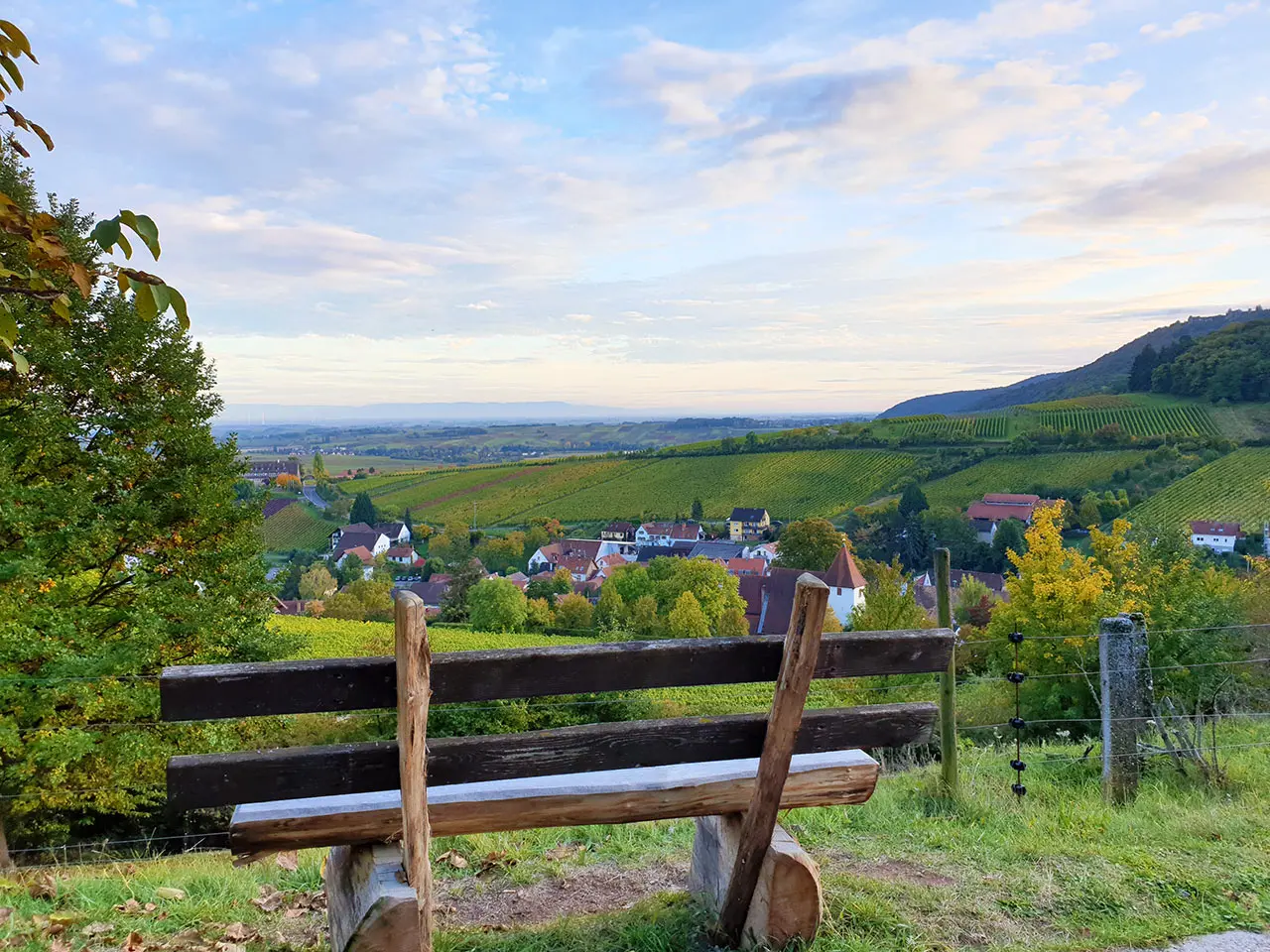 Keschde Erlebnisweg Leinsweiler Suedpfalz Kopie