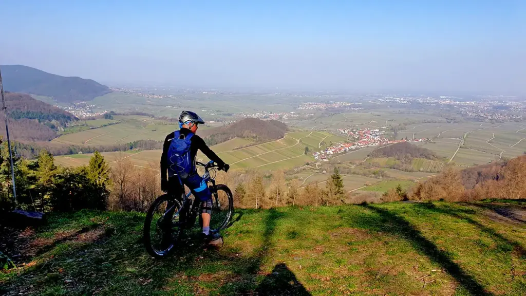 Radwege in und um Leinsweiler in der Pfalz